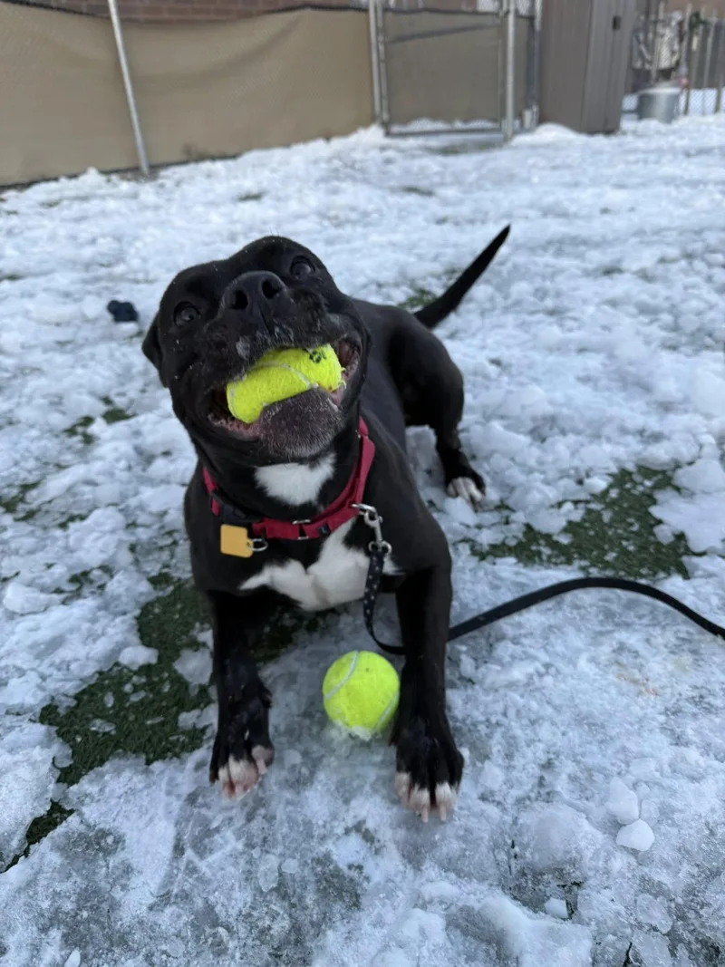 Hermione thumbnail 5