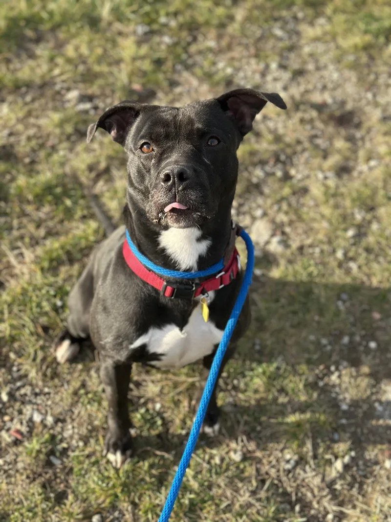 Hermione thumbnail 6