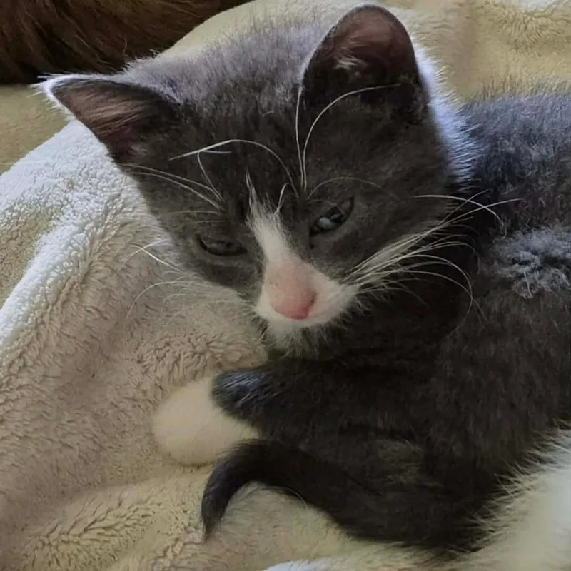 Thelma thumbnail 3