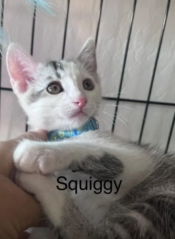 Squiggy  Laverne & thumbnail 4