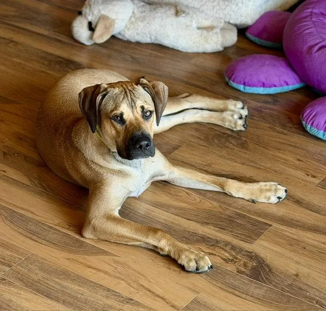 Max