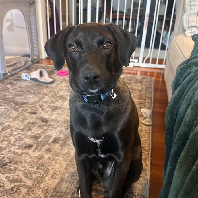 Monty  Your Best thumbnail 2