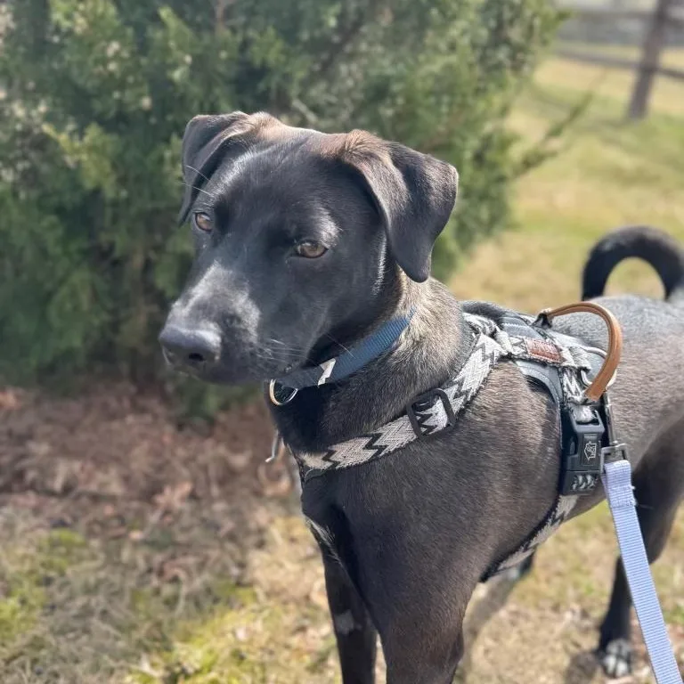 Monty  Your Best thumbnail 3