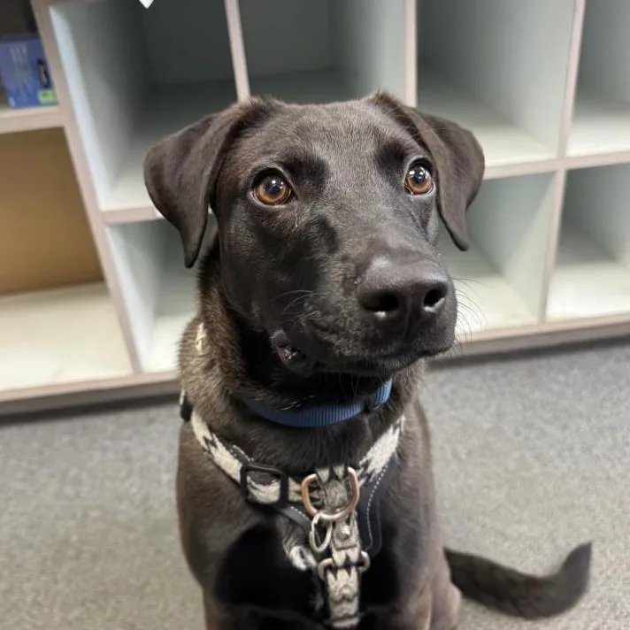 Monty  Your Best thumbnail 4