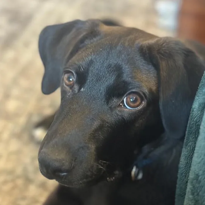 Monty  Your Best thumbnail 5