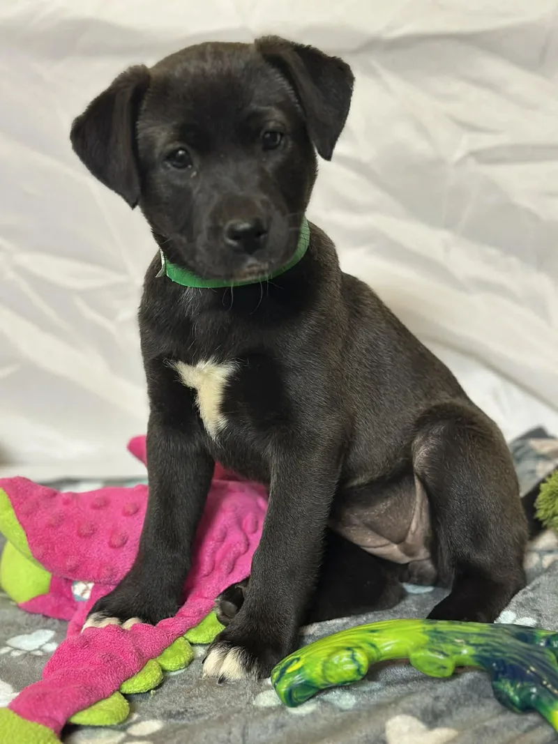 Lyn Eg In Ms thumbnail 2