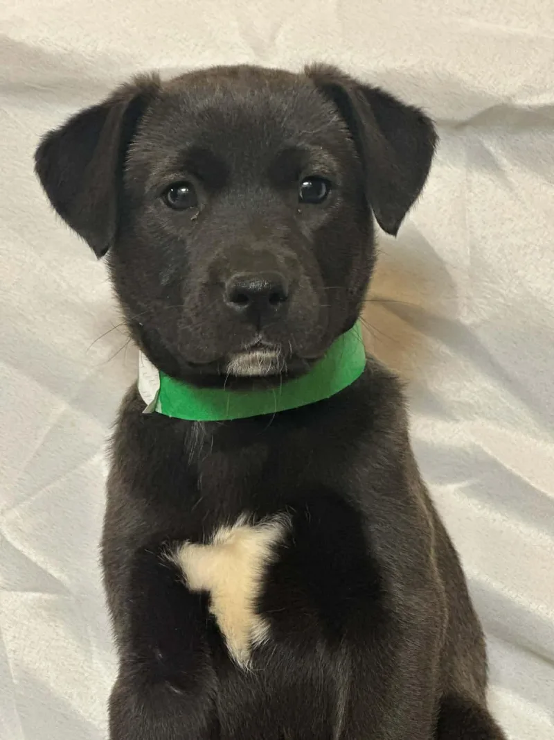 Lyn Eg In Ms thumbnail 3