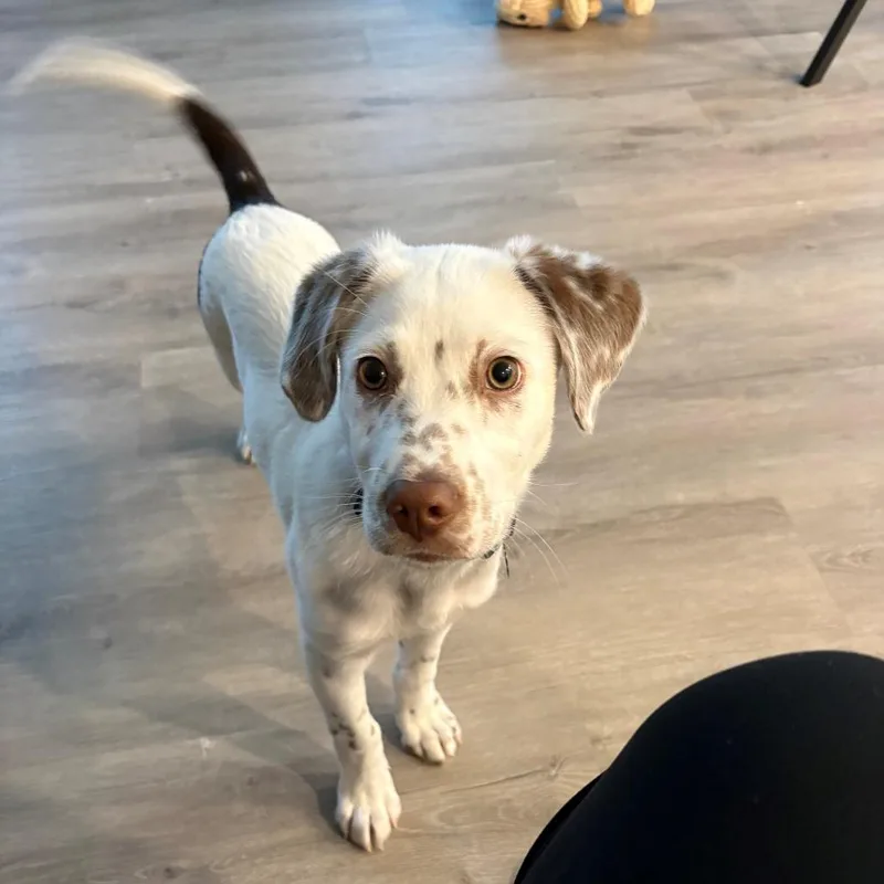 Oswald Aka Ozzy thumbnail 2