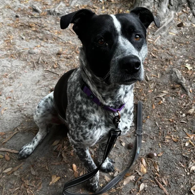 Koolaid Man thumbnail 2