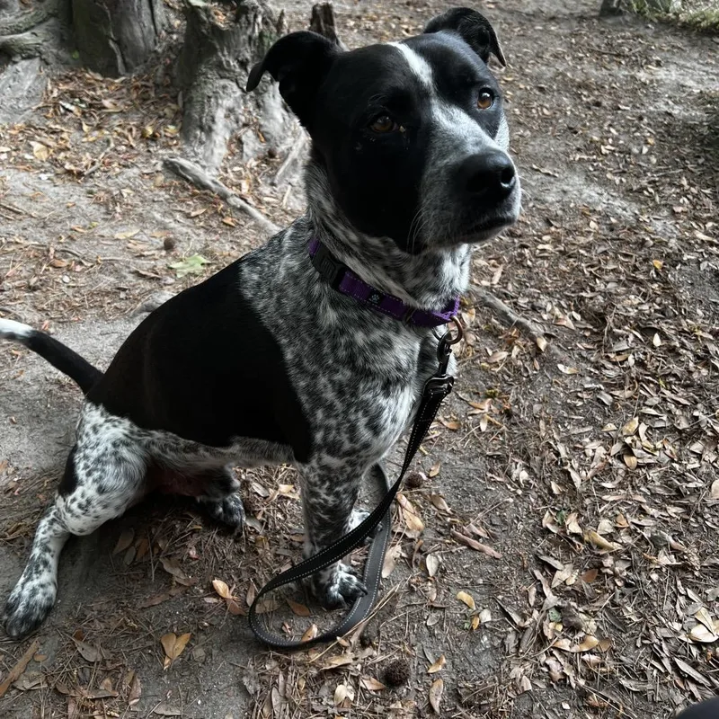 Koolaid Man thumbnail 5