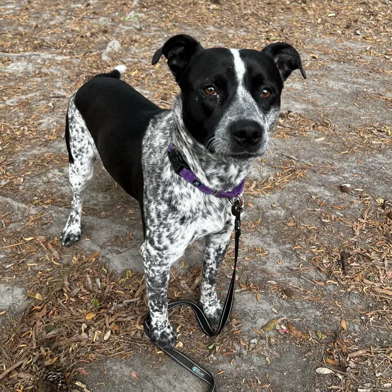 Koolaid Man thumbnail 6