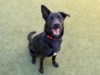 June Bug thumbnail 3