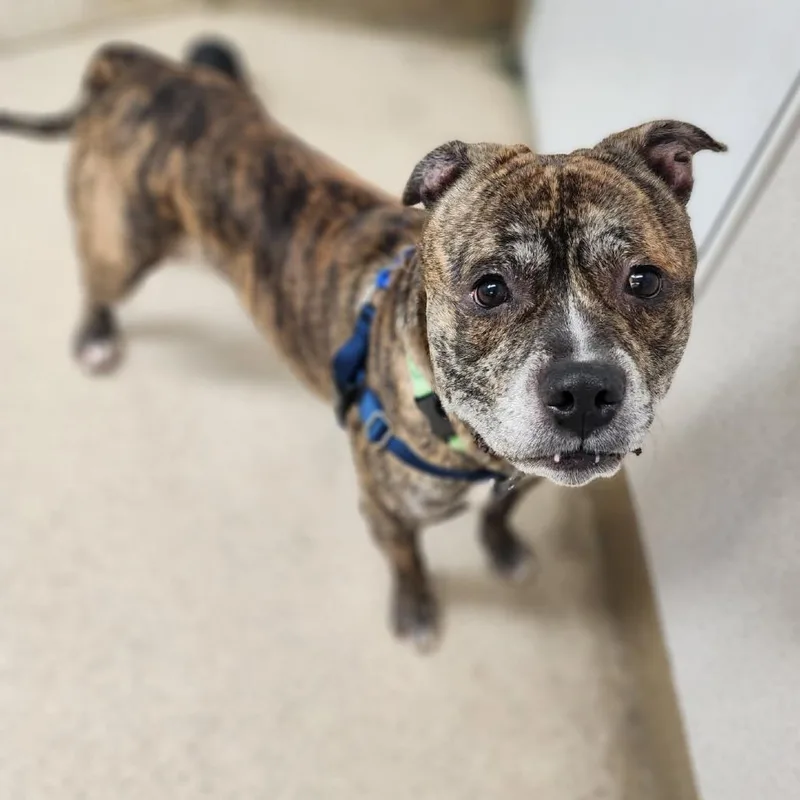 King Of Hearts thumbnail 2