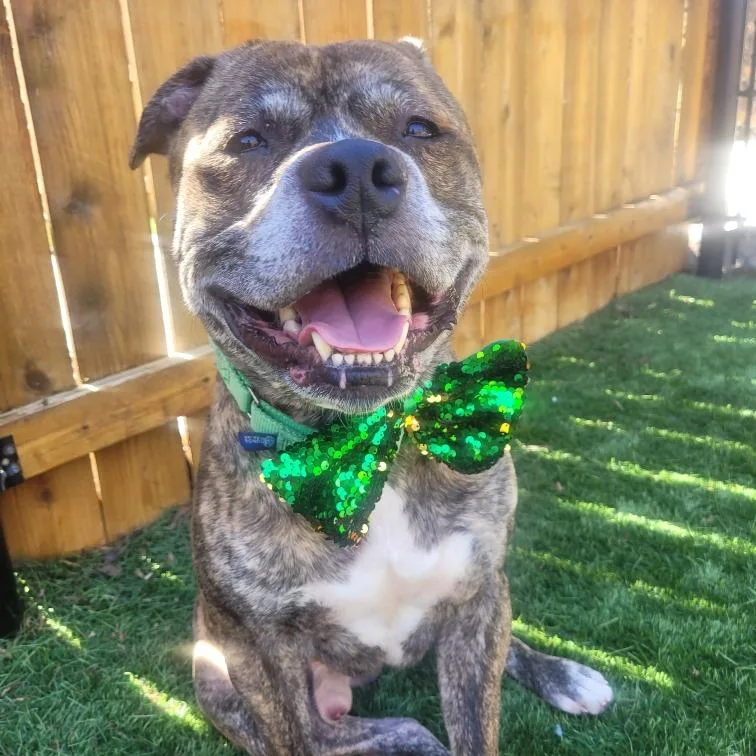 King Of Hearts thumbnail 3