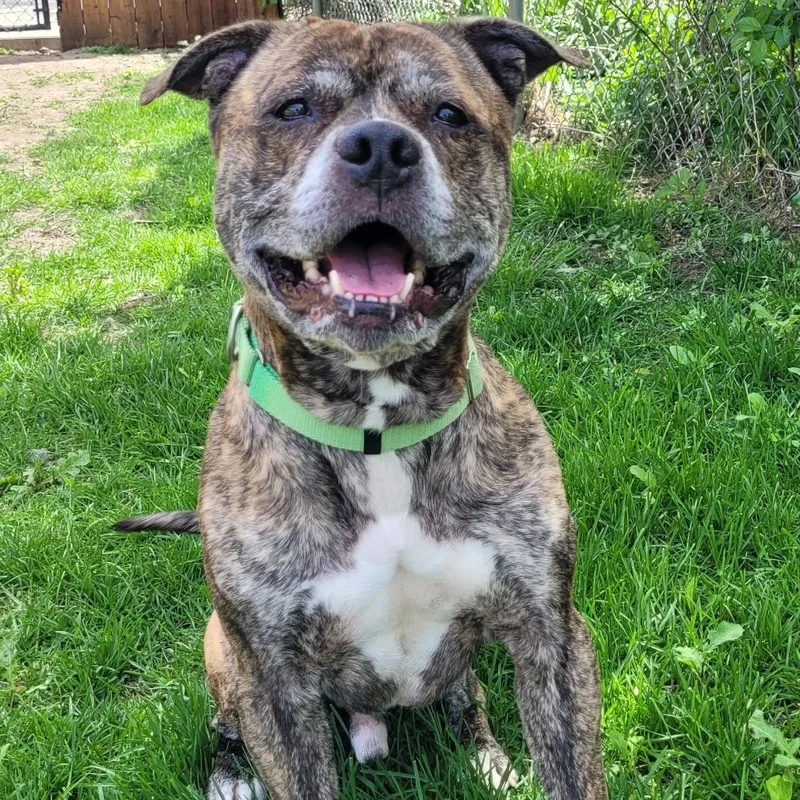 King Of Hearts thumbnail 5