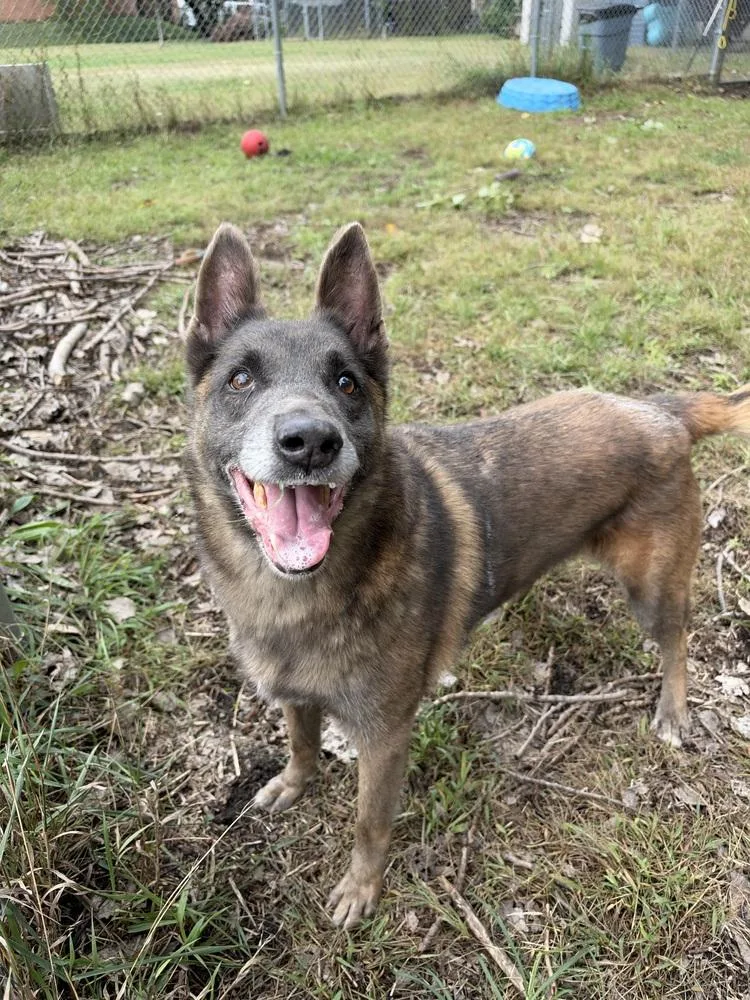 Mabel located in NC thumbnail 2