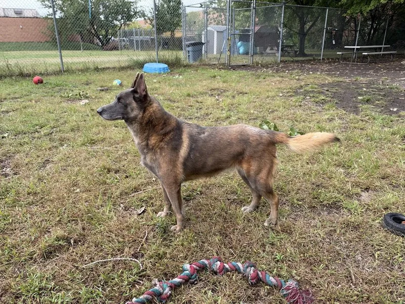 Mabel located in NC thumbnail 3