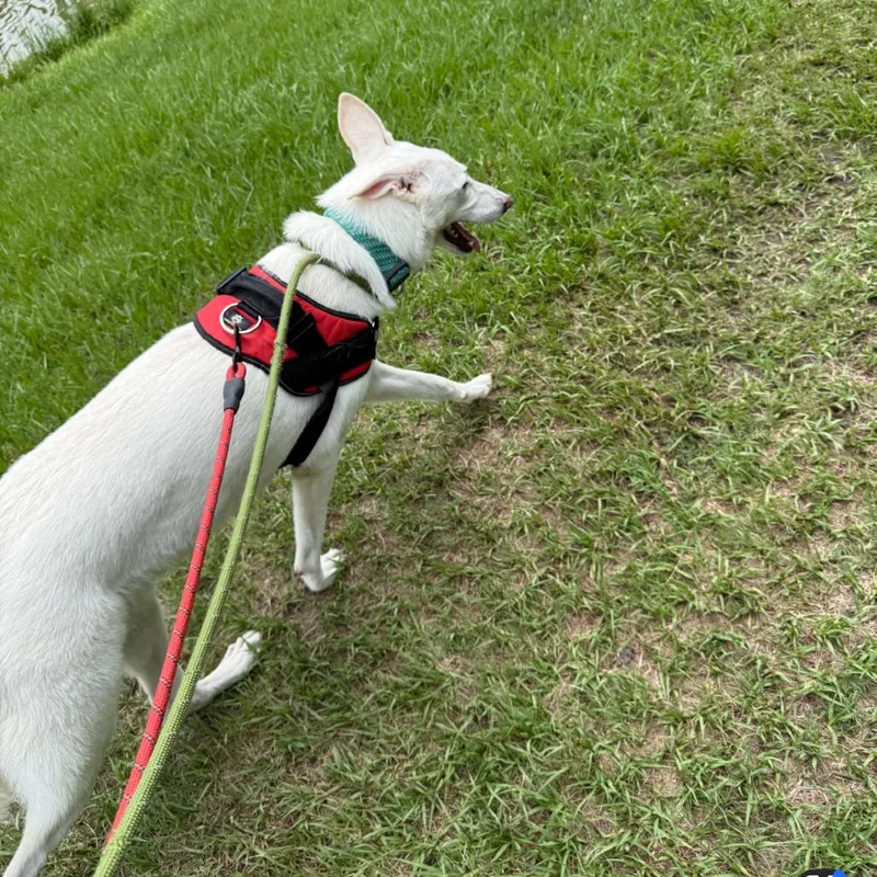Shakeera thumbnail 4
