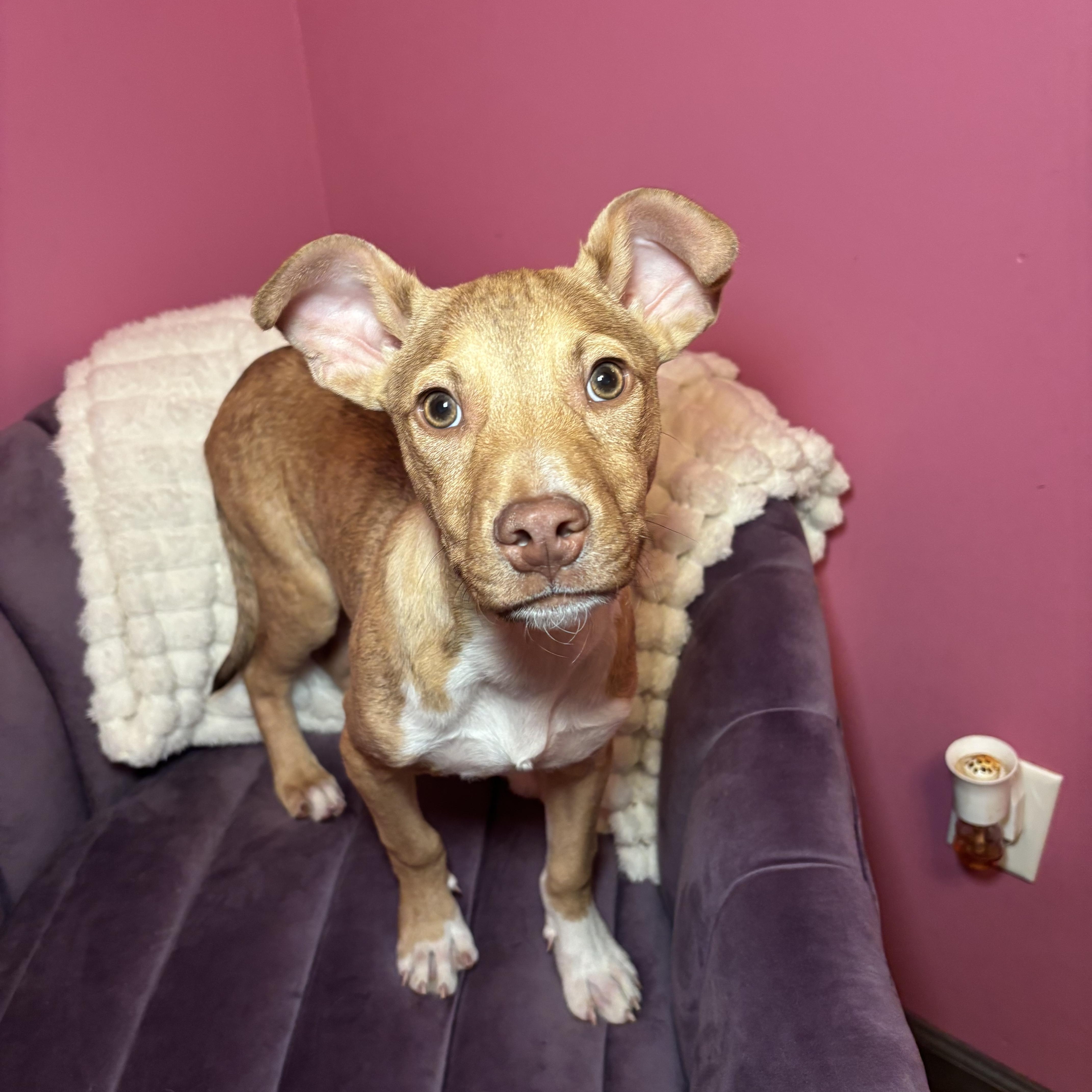 Rocky Road thumbnail 2