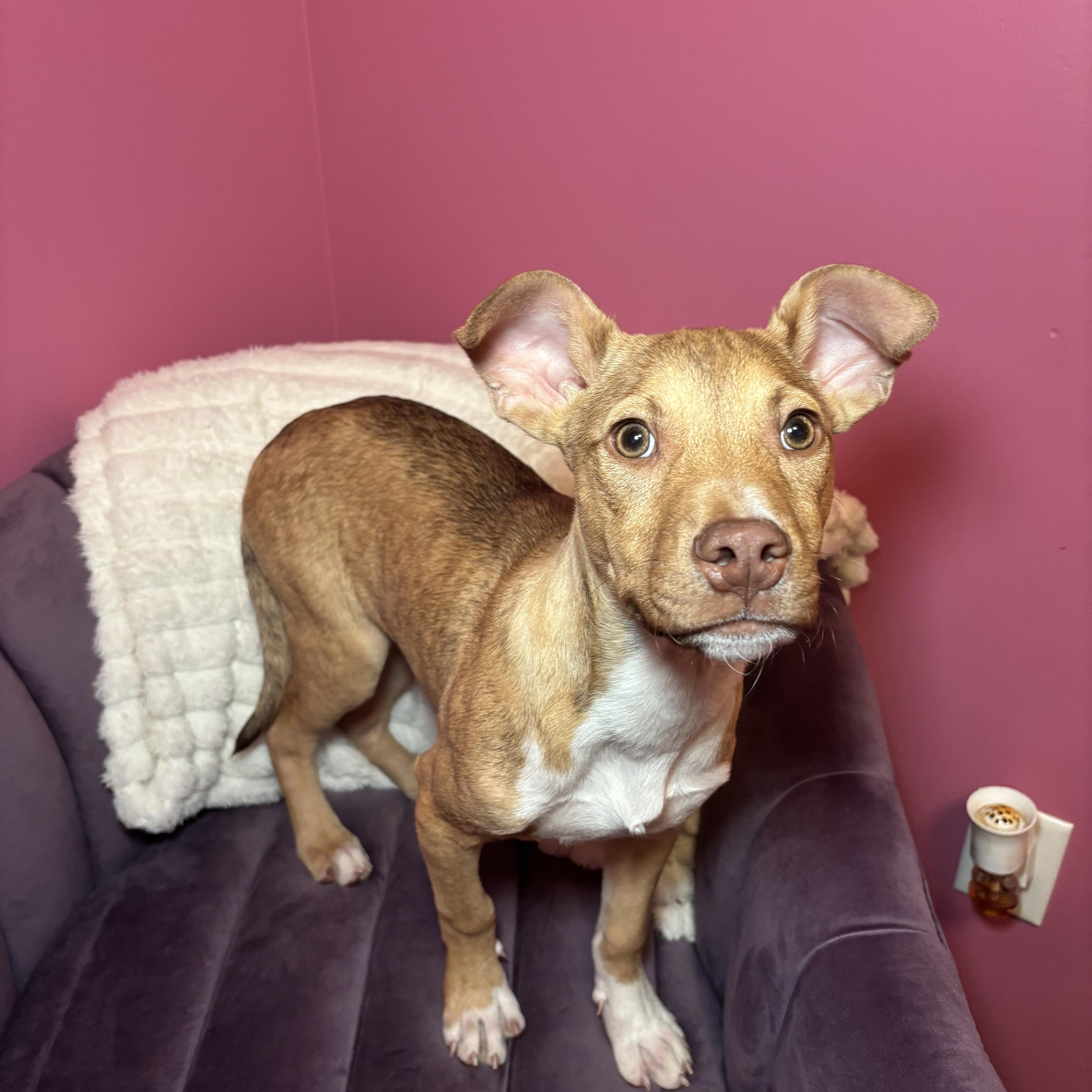 Rocky Road thumbnail 3