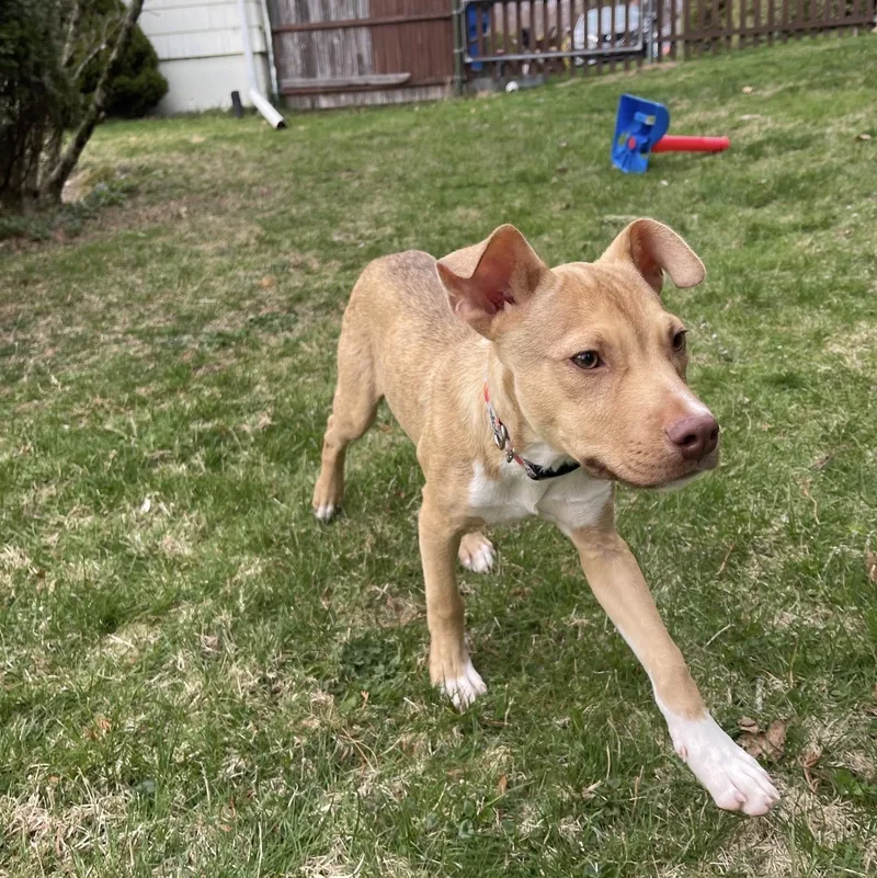 Rocky Road thumbnail 4