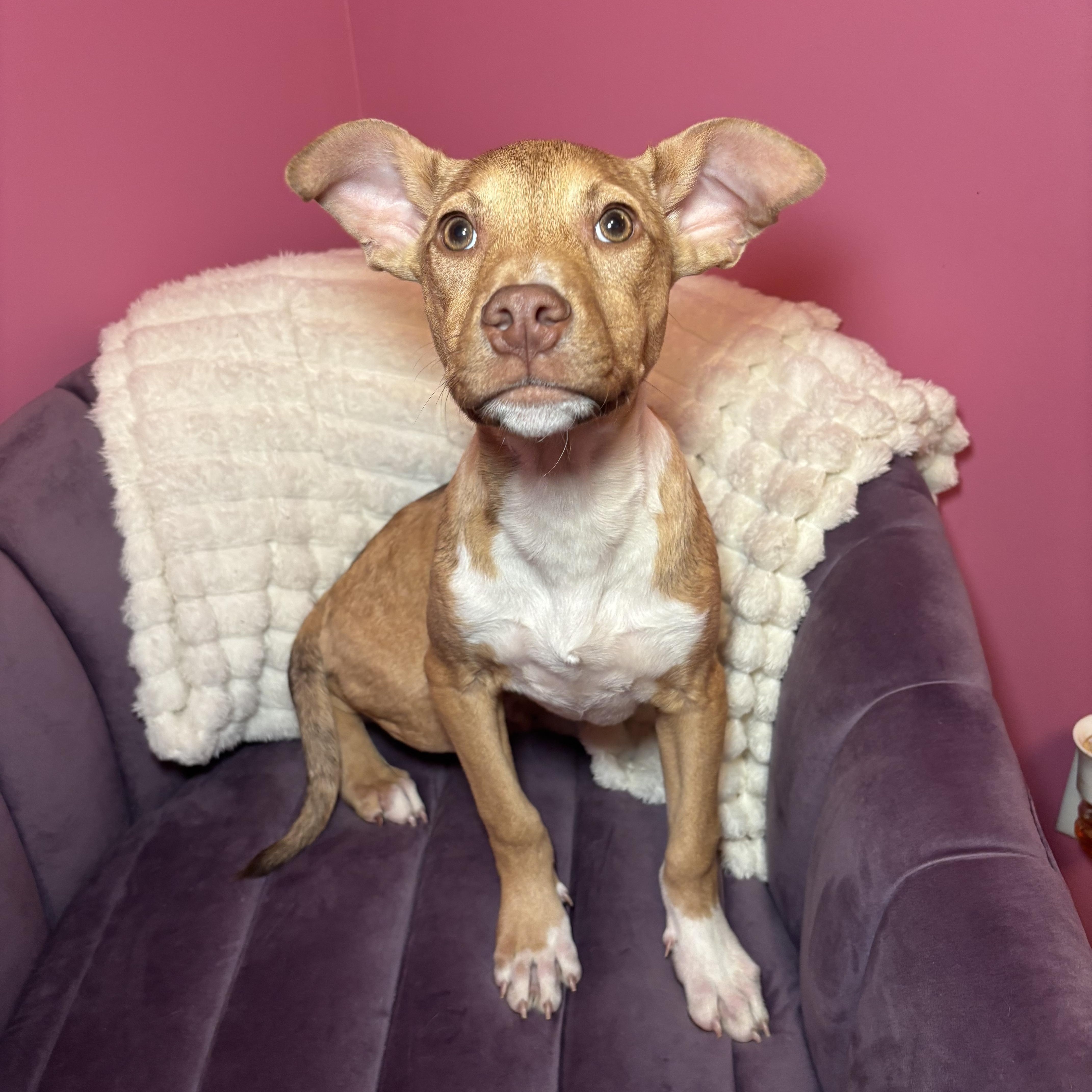 Rocky Road thumbnail 5