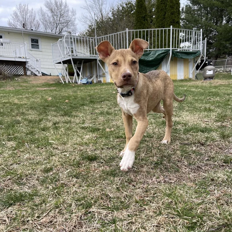 Rocky Road thumbnail 6