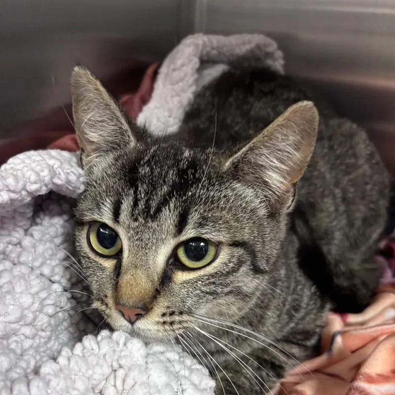 Frances  U thumbnail 2