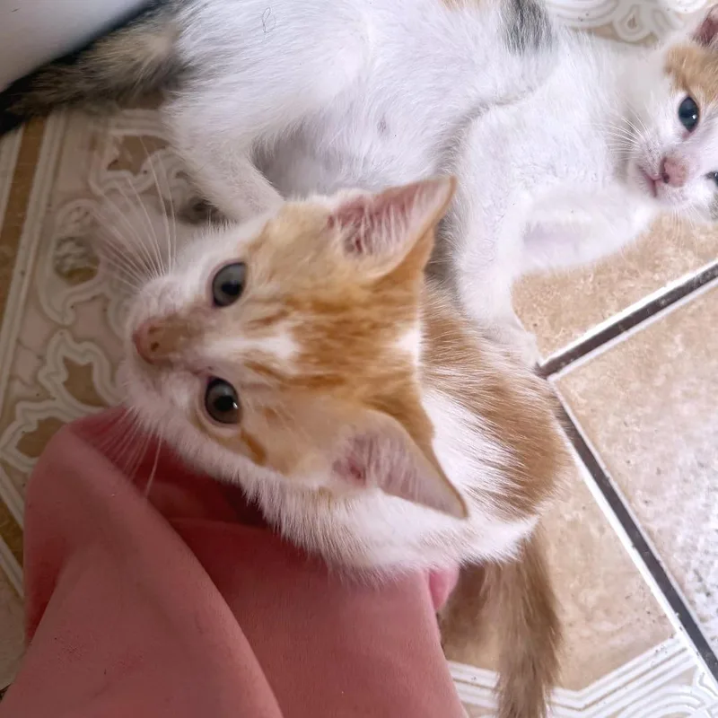 You Smell Nice thumbnail 3