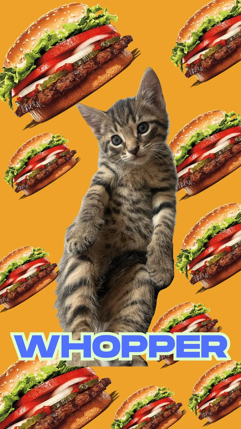 Whopper thumbnail 3