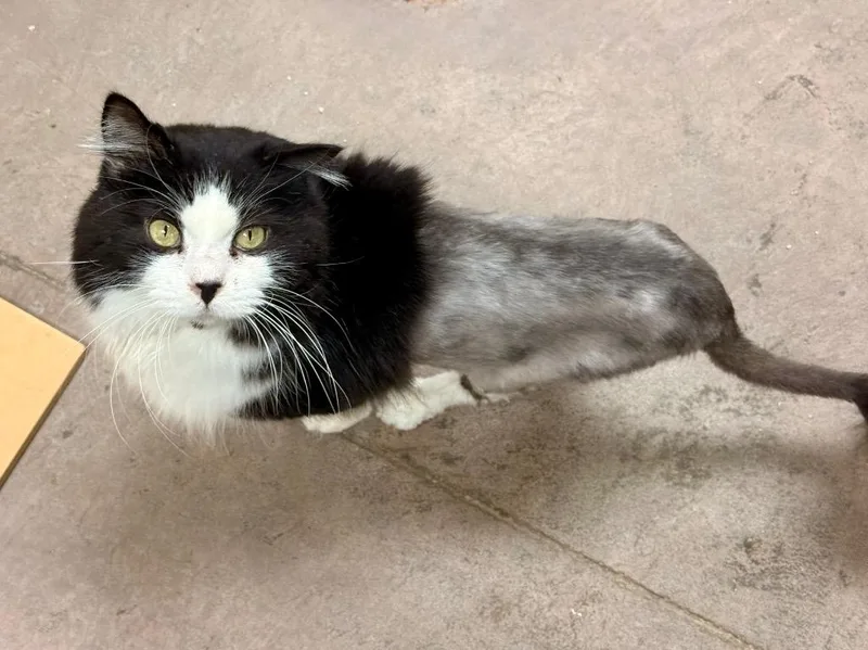 Kilkenny thumbnail 2