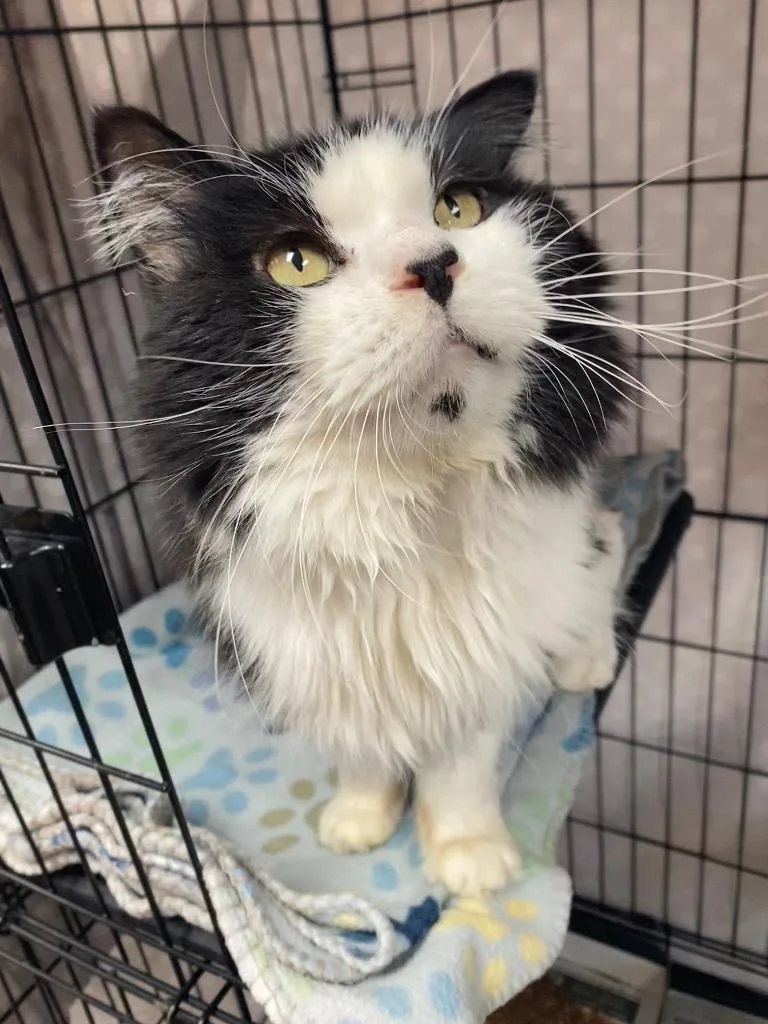 Kilkenny thumbnail 5