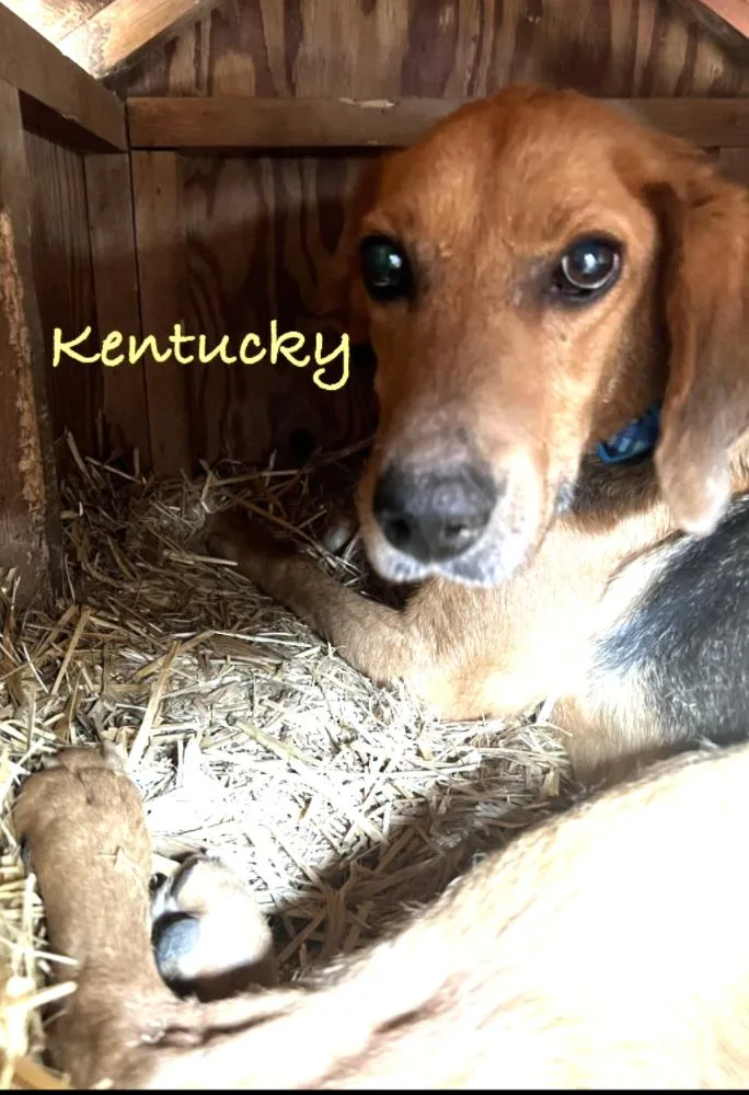 Kentucky thumbnail 2
