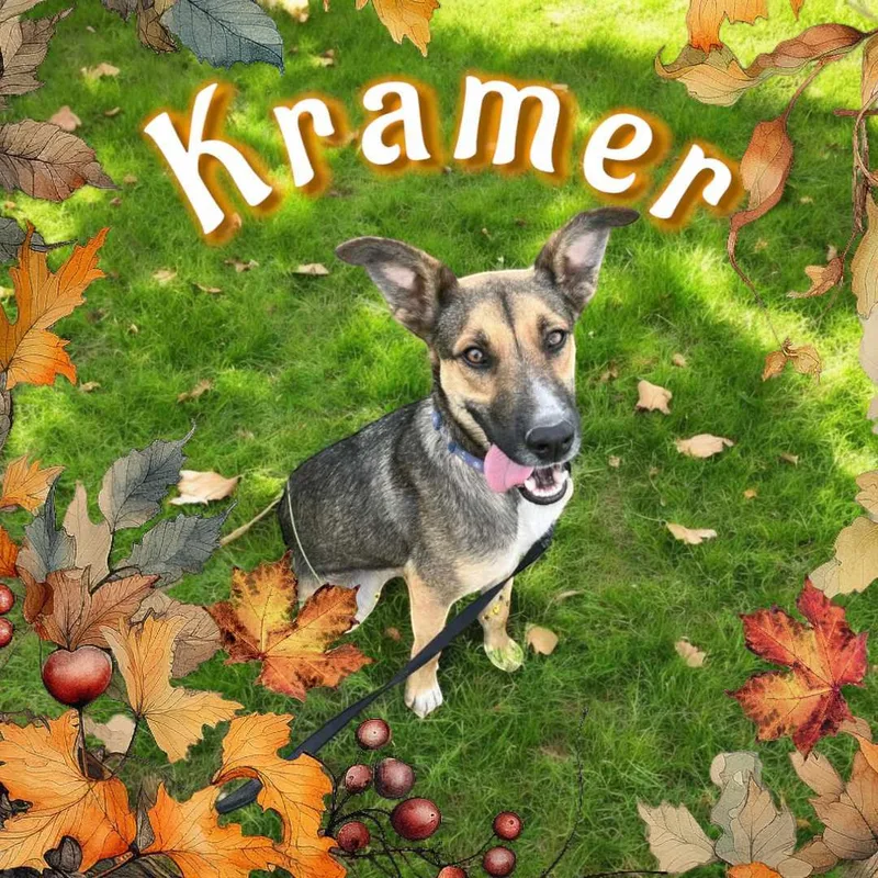 Kramer thumbnail 3
