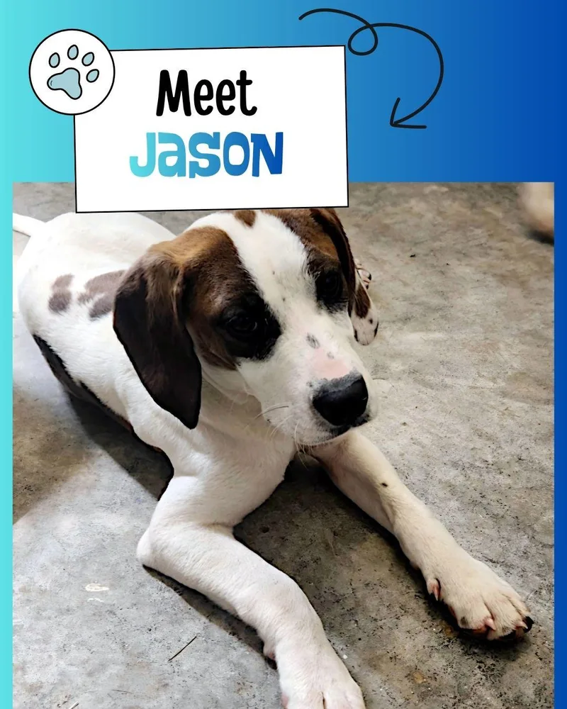 Jason thumbnail 2