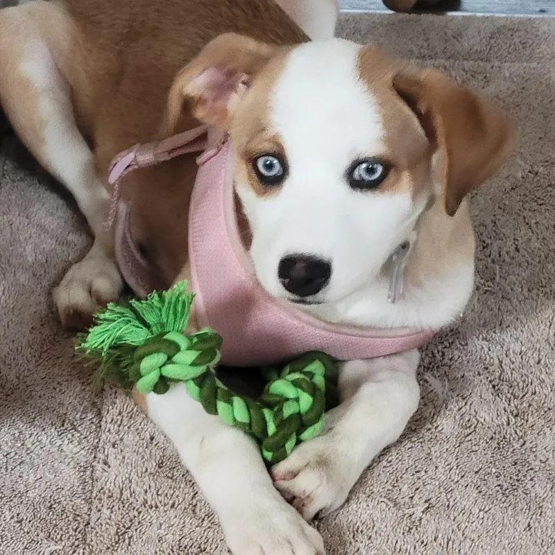 Princess Mia thumbnail 3