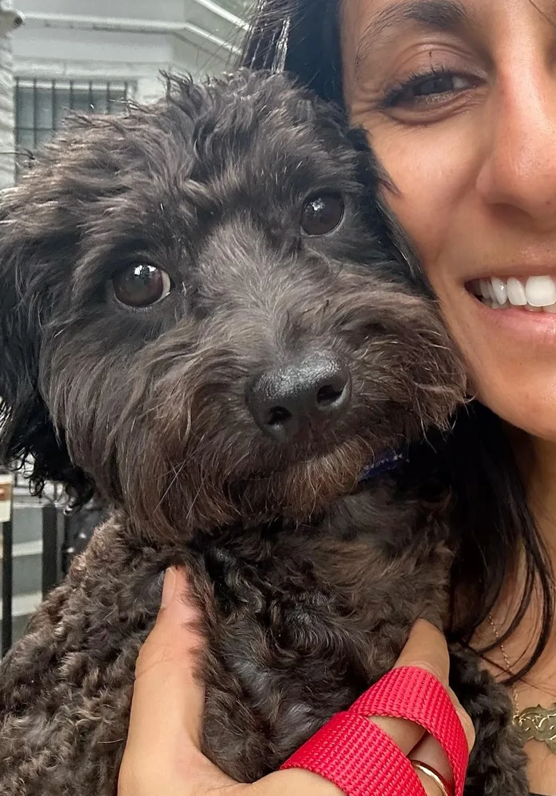 Frankie