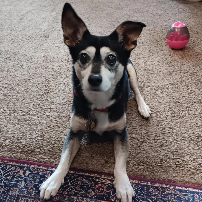 Chaka Khan thumbnail 5