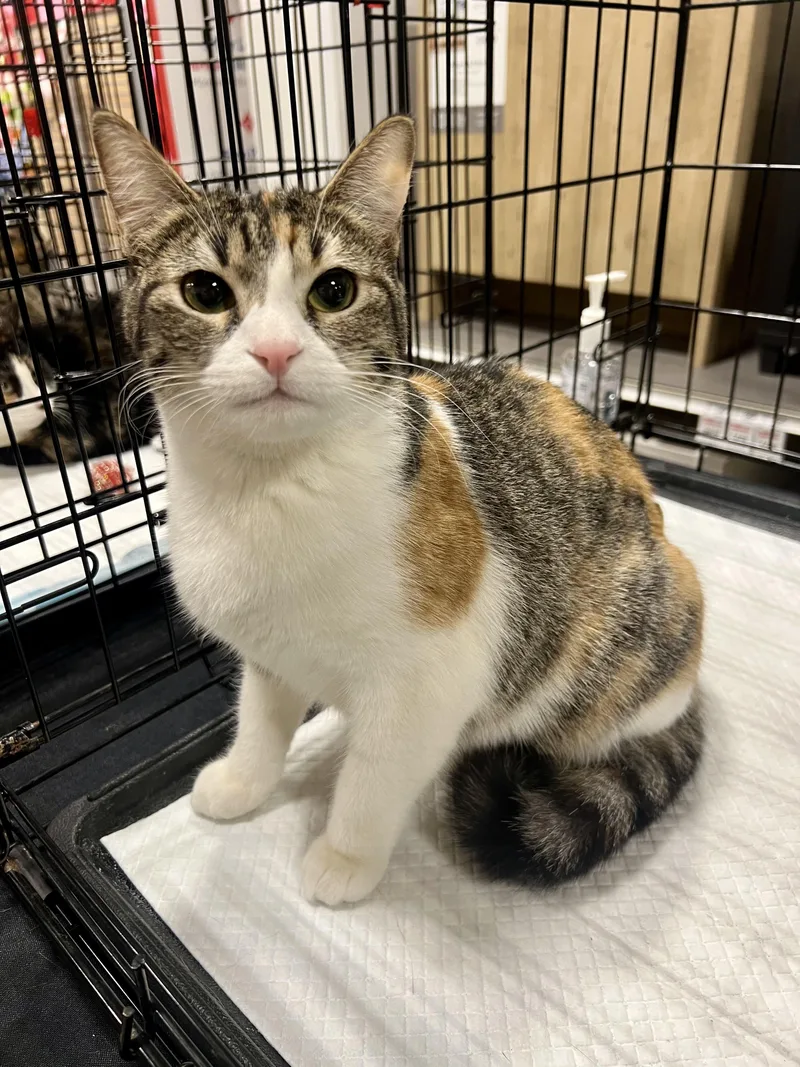 Penny And Megan thumbnail 2