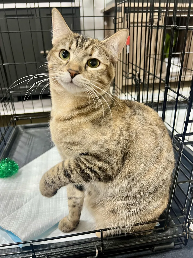 Penny And Megan thumbnail 3