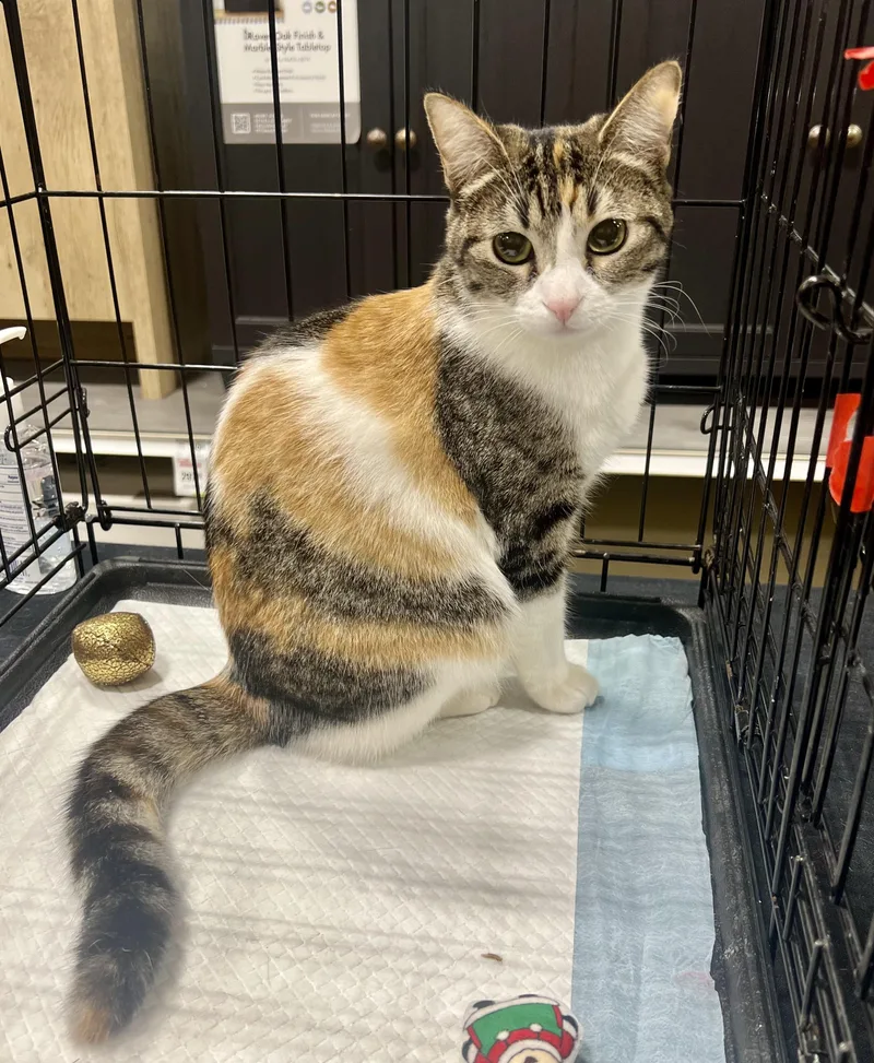 Penny And Megan thumbnail 4