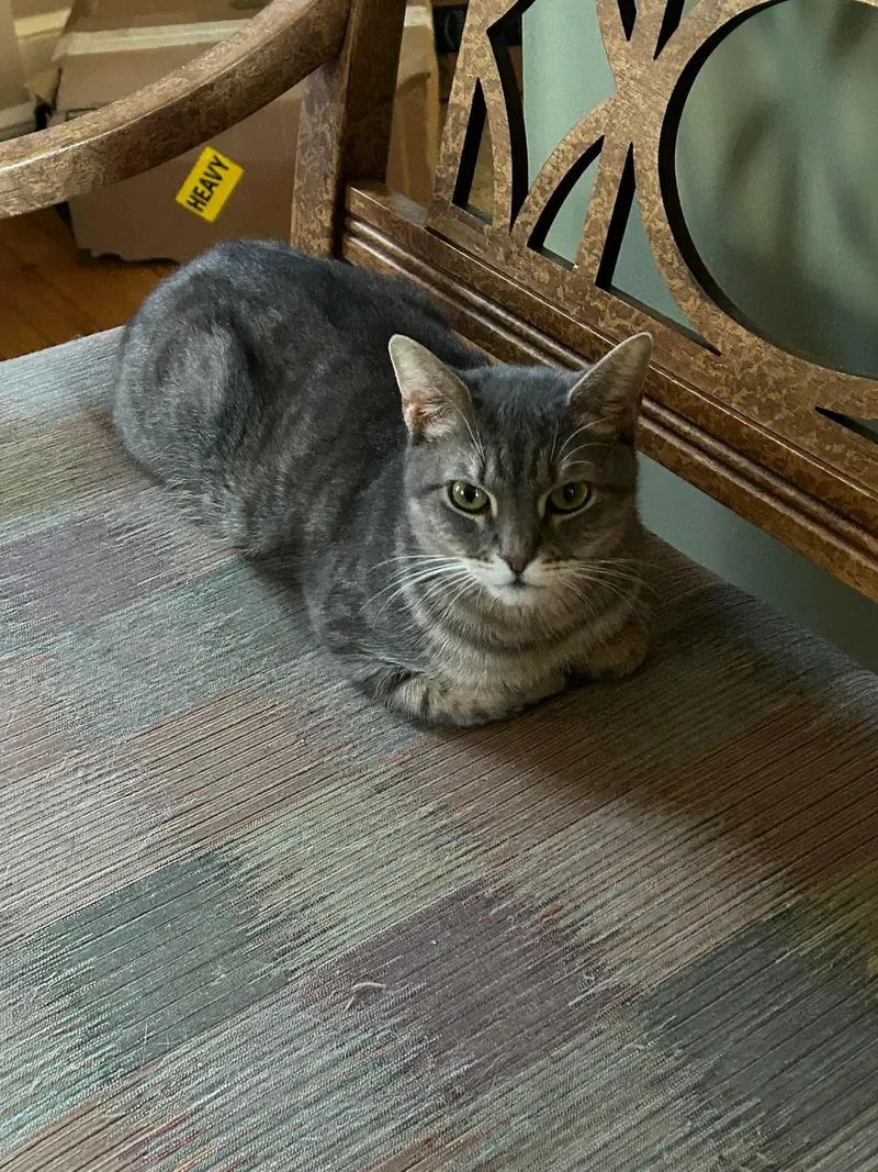 Miss Daisy thumbnail 3