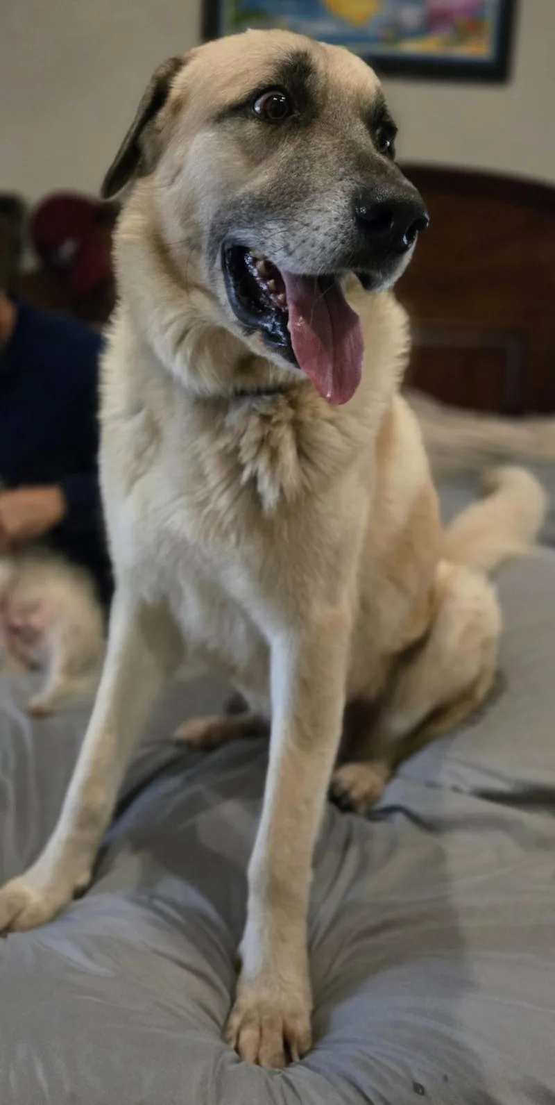 Hopper Floresville  Tx thumbnail 2