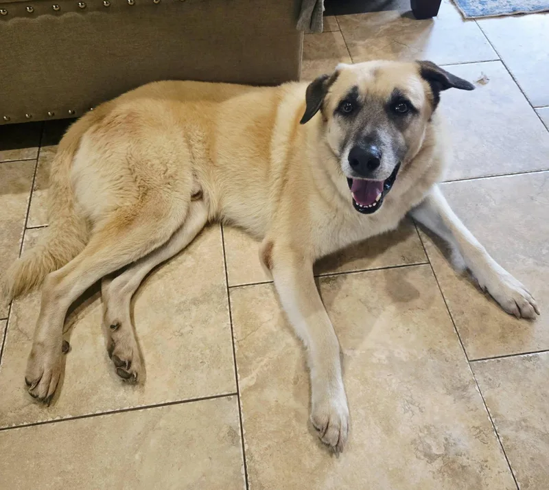 Hopper Floresville  Tx thumbnail 5