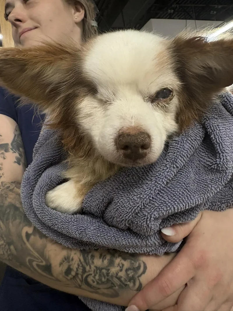 Salvatore Tx thumbnail 2