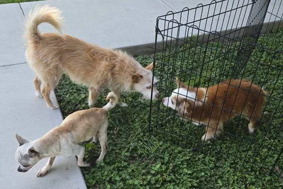 Salvatore Tx thumbnail 3