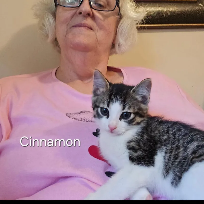 Cinnamon thumbnail 2