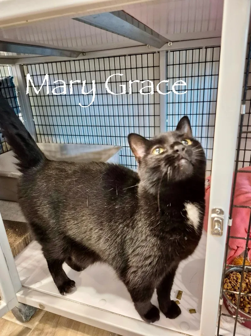 Mary Grace thumbnail 2