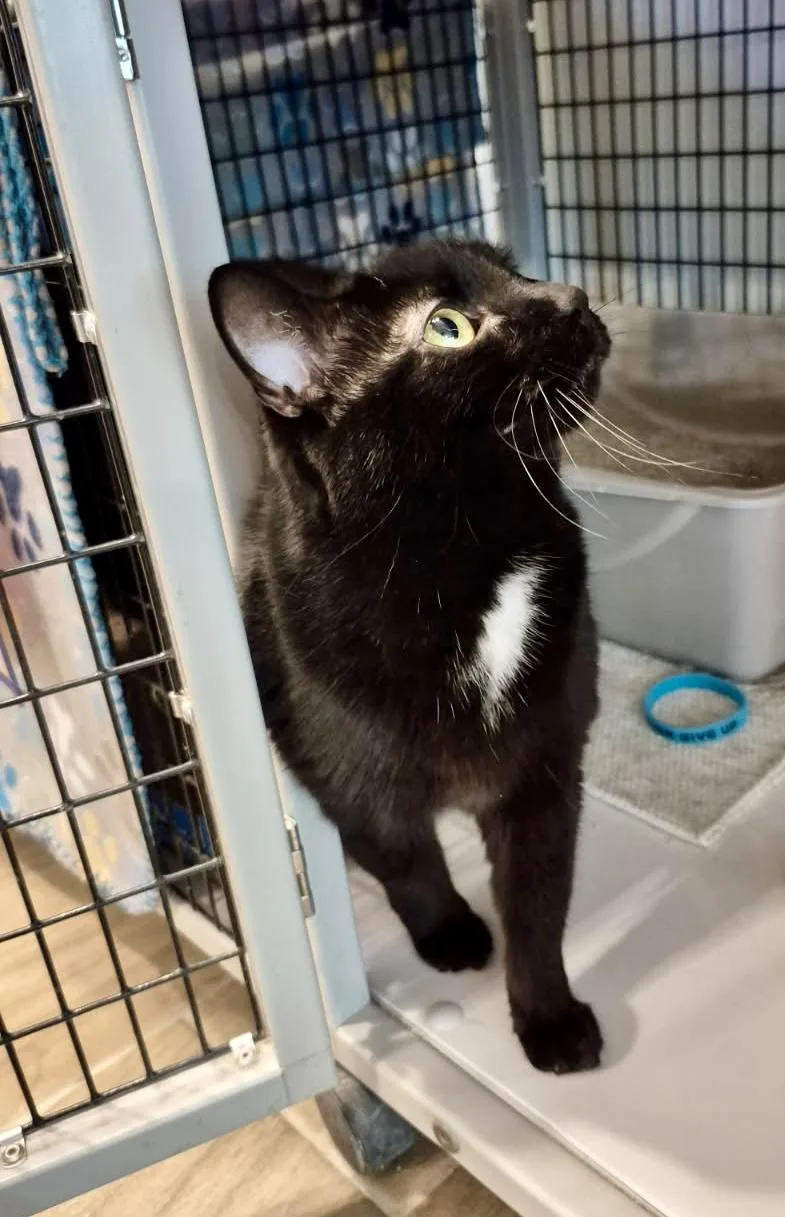 Mary Grace thumbnail 3