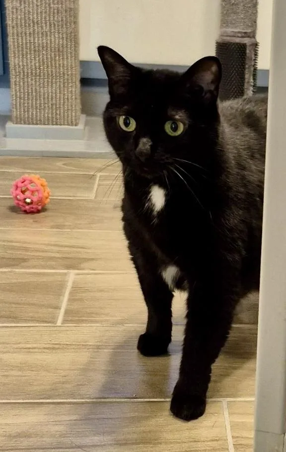 Mary Grace thumbnail 4